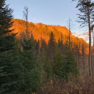 Meet your Posher, Blue